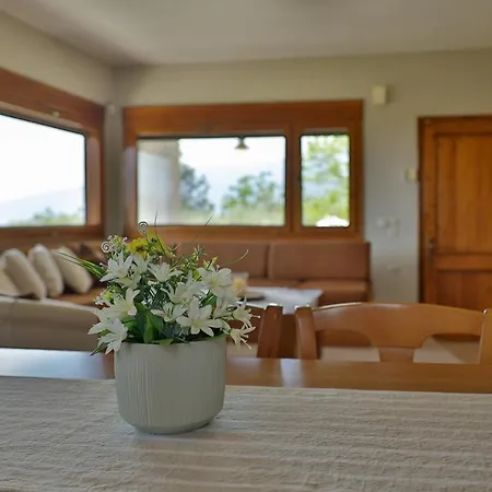 Olympplace Olive House-ground Floor Leptokaria