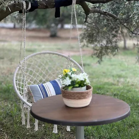 Olympplace Olive House-ground Floor Дом отдыха Лептокария