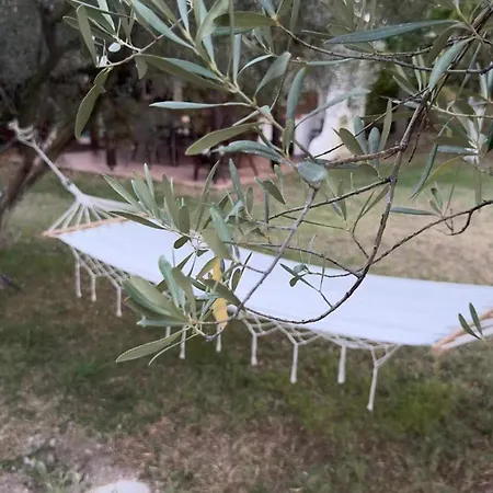 Olympplace Olive House-ground Floor