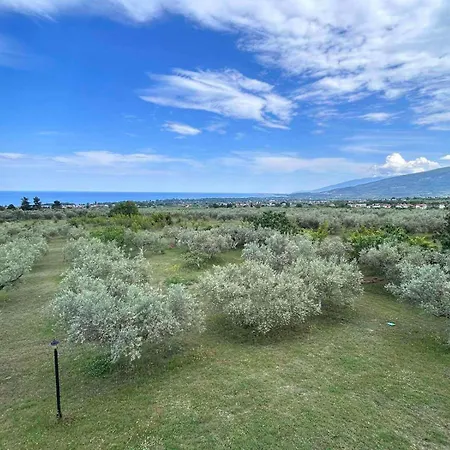 Olympplace Olive House-ground Floor Дом отдыха