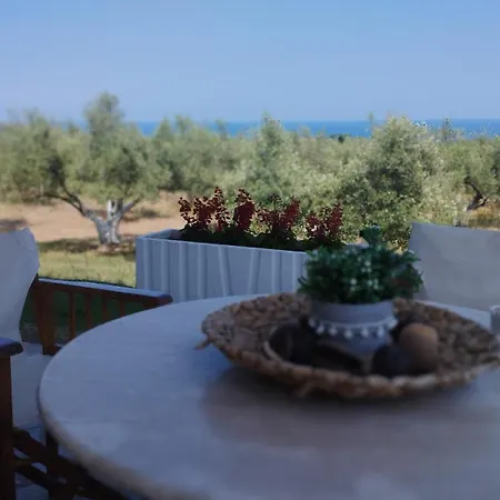 Olympplace Olive House-ground Floor