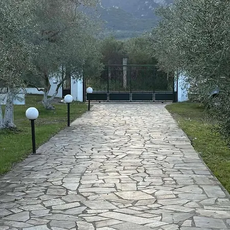Olympplace Olive House-ground Floor