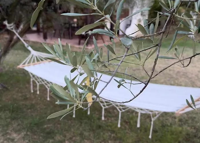 Olympplace Olive House-ground Floor