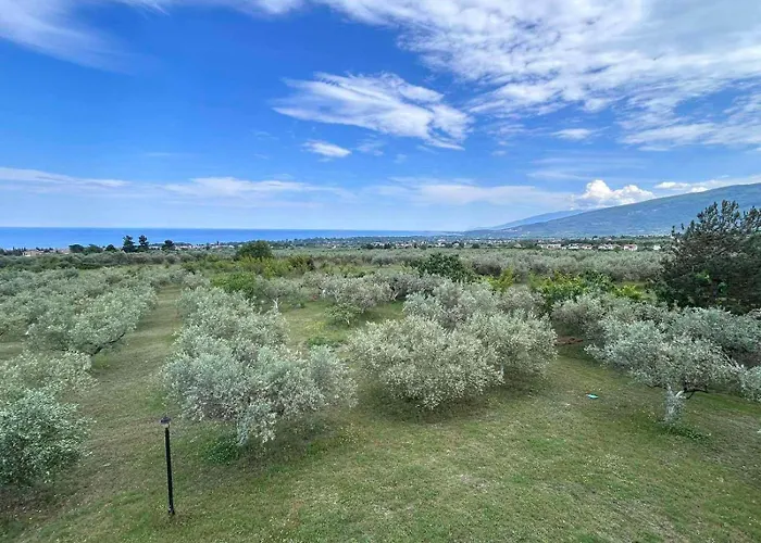 Olympplace Olive House-ground Floor Hébergement de vacances