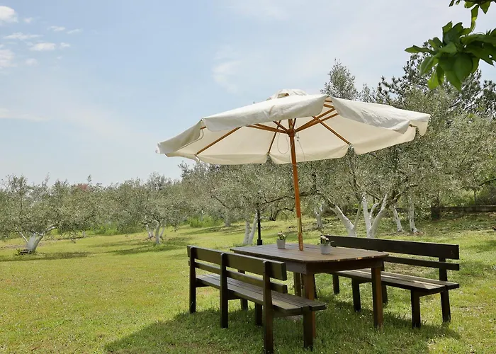 Olympplace Olive House-ground Floor Ferienhaus Leptokaryá